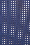 Accessory-pack (Navy & guld prikket)