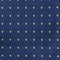 Navy & guld prikket slips
